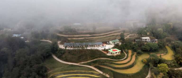 Timcup Ha giang 2