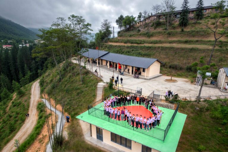 Timcup Ha giang