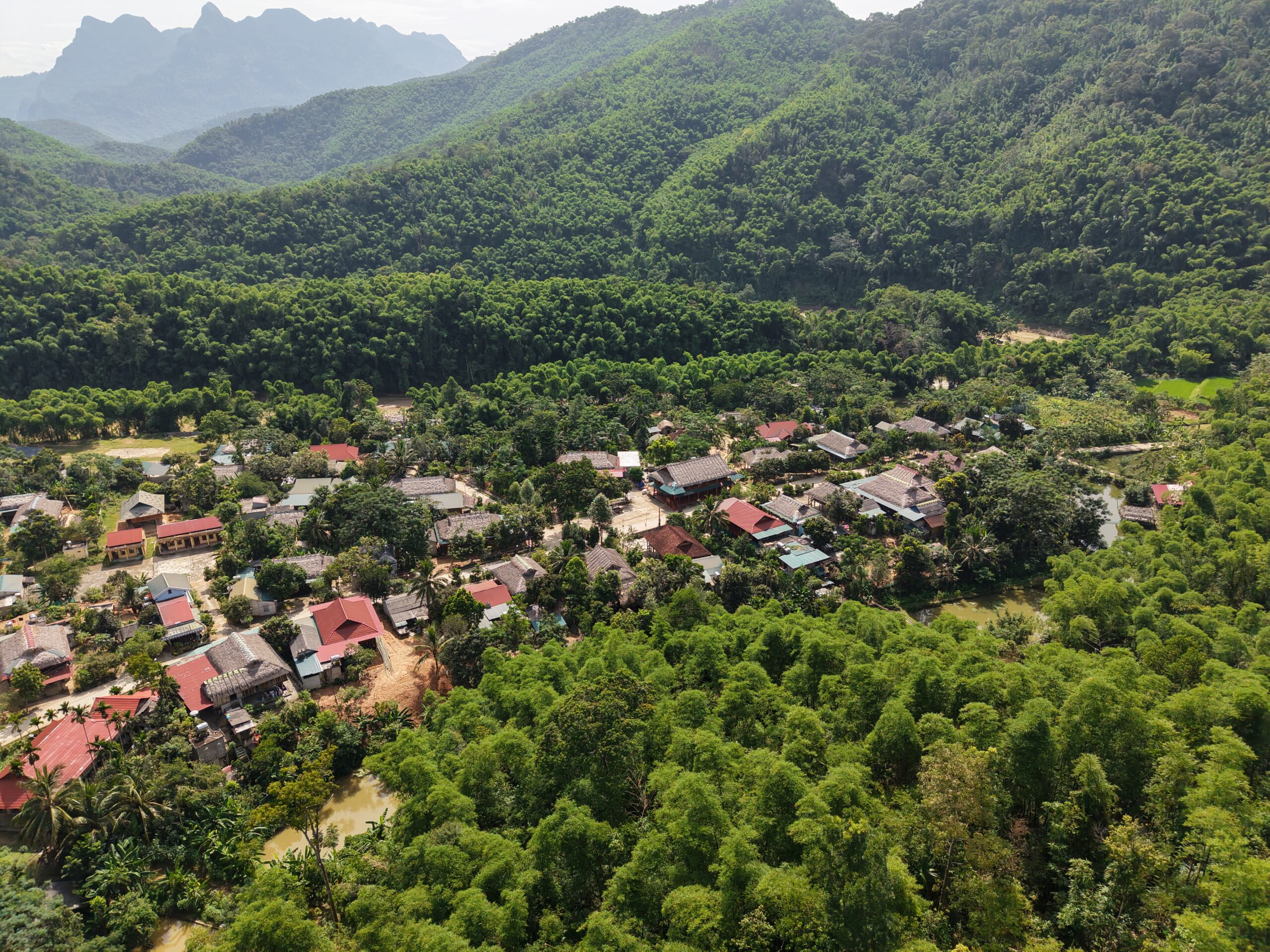 ban-mua-xuan-quan-son-thanh-hoa